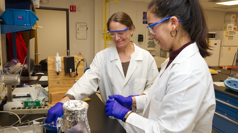 Professor Amy Biddle equine lab 