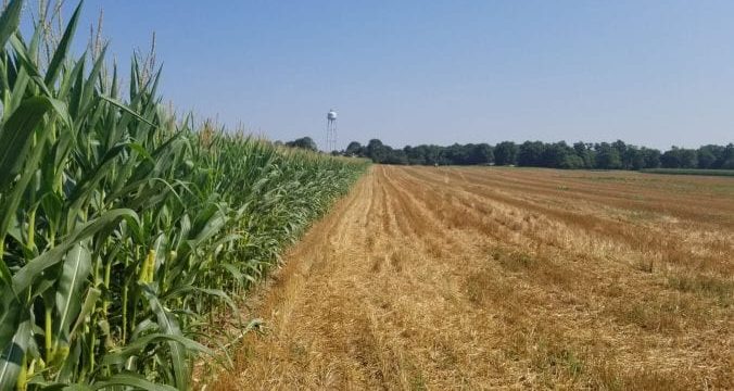 Photo of a farm field.