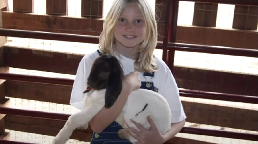 Photo of a child holding a baby goat.