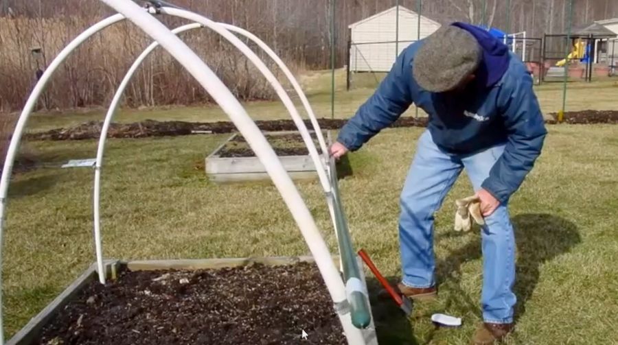 A man setting up a winter garden.