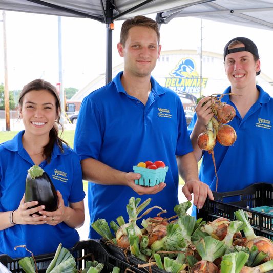 UD Fresh to you farm stand is open. Run by FABM interns; Ryan Bresnahan, Emily Doelp, Adam Taylor