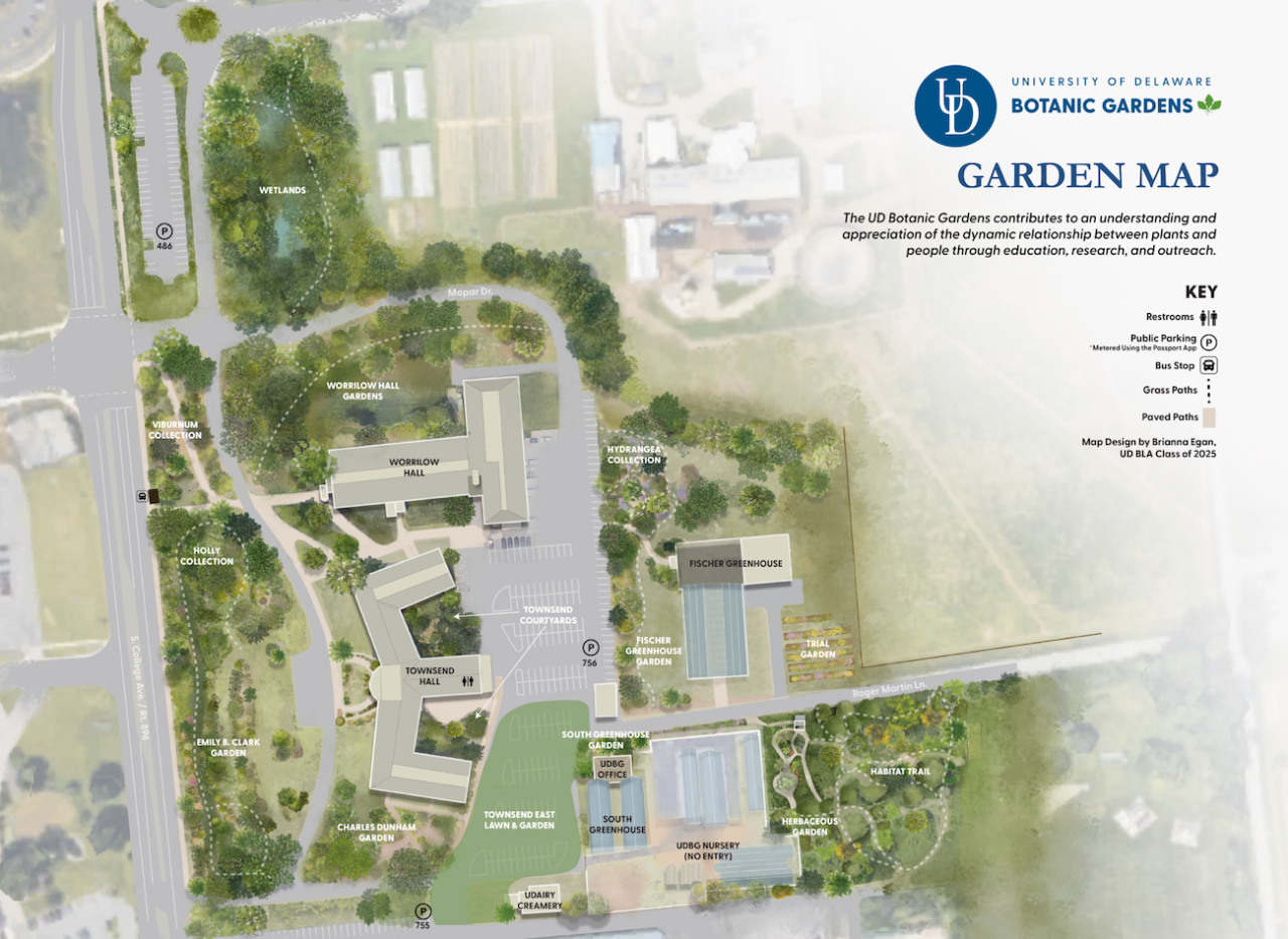 Illustrated map of the University of Delaware Botanic Gardens, with north at the top. Wetlands and Worrilow Hall Gardens occupy the northern section. The Viburnum Collection, Holly Collection, Emily B. Clark Garden and Charles Dunham Garden extend along the western side near South College Avenue. The Hydrangea Collection, Fischer Greenhouse Garden and Trial Garden are east of Worrilow and Townsend halls. The southern section includes Townsend East Lawn and Garden, South Greenhouse Garden, Herbaceous Garden and Habitat Trail. The map also identifies buildings, parking areas, bus stops, restrooms and walking paths.