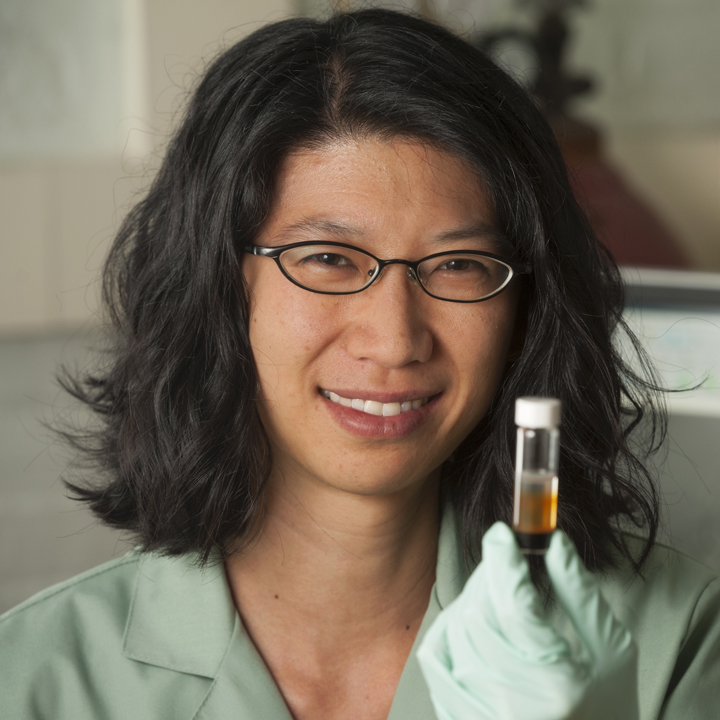 Clara Chan in her lab with samples of iron in her Penny Hall laboratory. Clara is show working with iron-oxidizing microbes.
