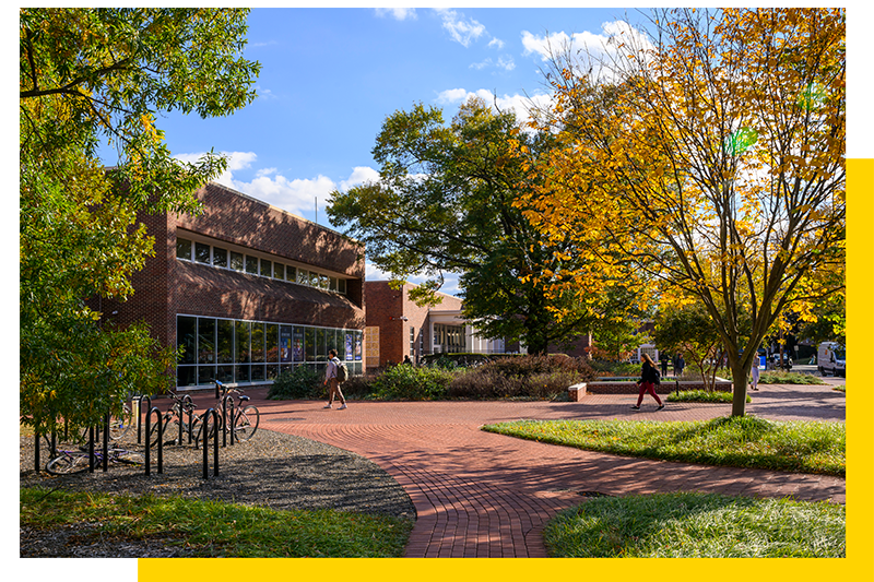 UD Campus in Fall