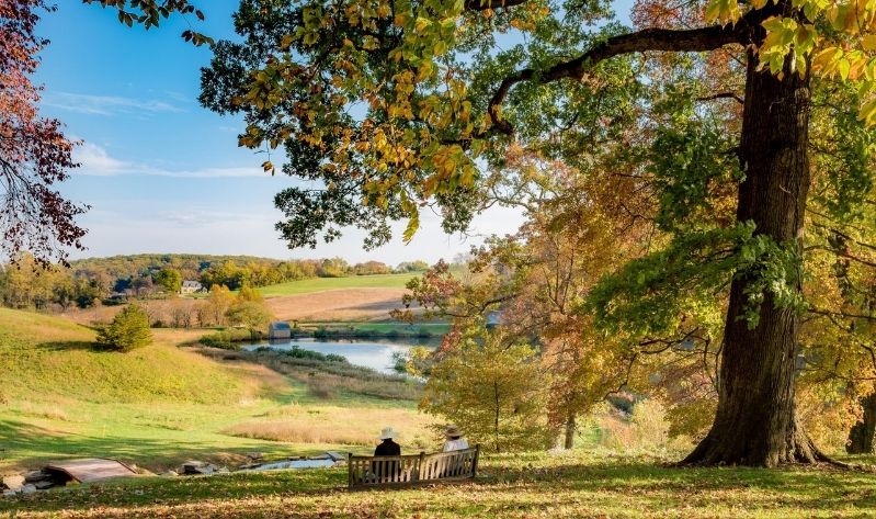 Grounds of Winterthur with autumn colors