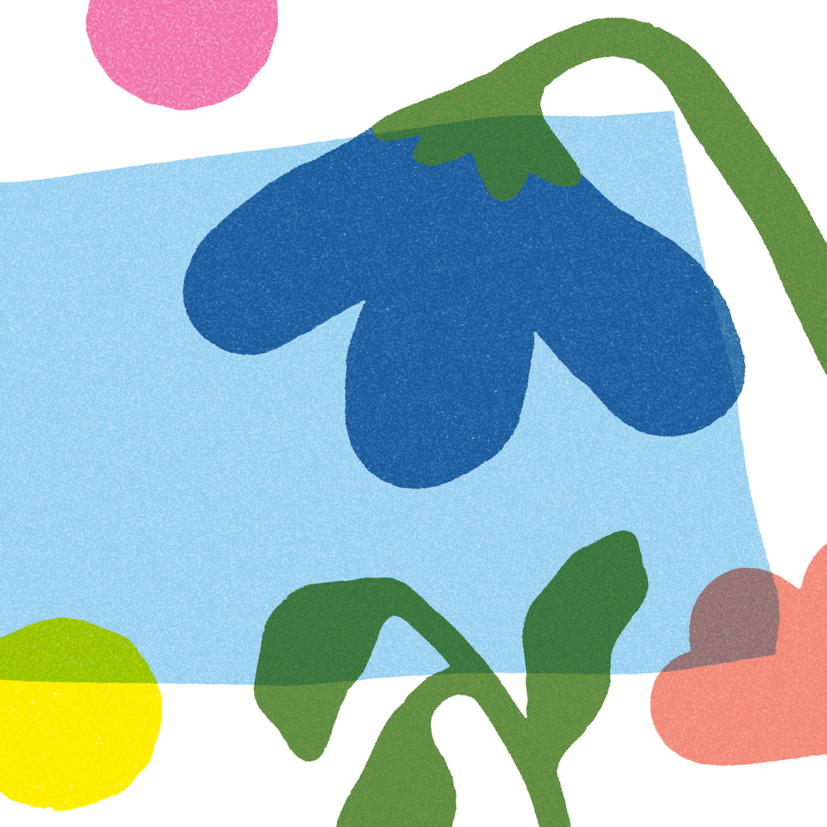 Illustrations of colorful shapes, circles and plants.