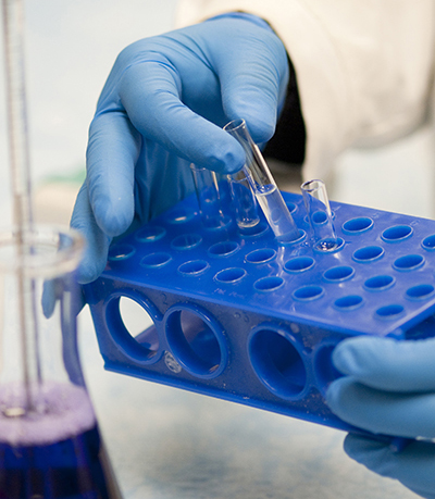 DBI_Stock_011110 Stock photography from the Delaware Biotechnology Institute. 2010-01-11