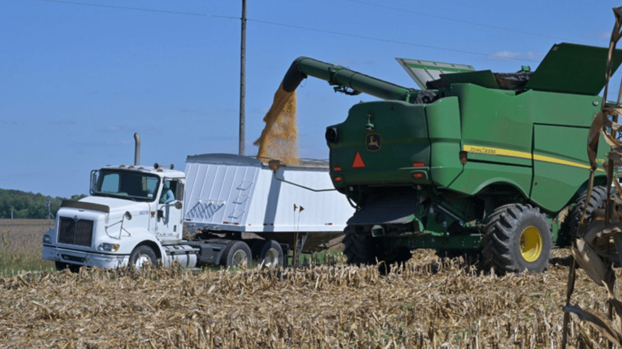 Grain tool estimator