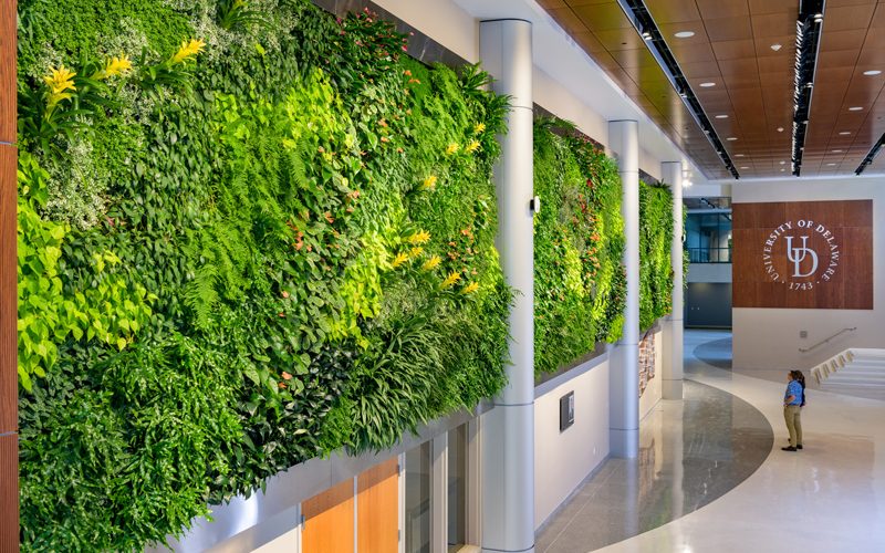 Campus-STAR_Tower-Living_Wall-110718 Living Wall