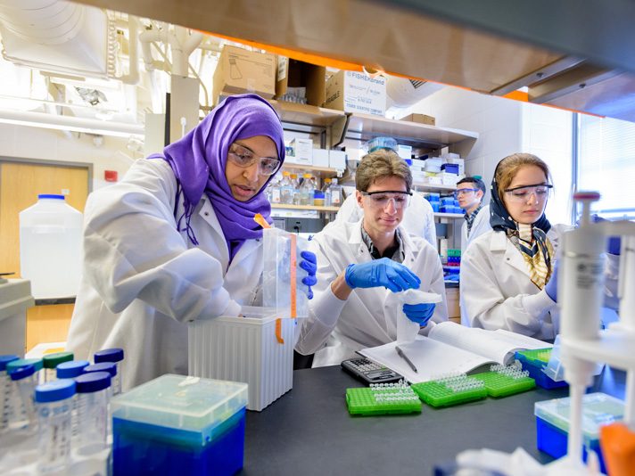 Grad students in Salil Lachke's Biological Sciences research group, training and working with undergraduate members of the team in their Wolf Hall lab. From left (grad student unless otherwise noted): Salma Alsaai, Dominic Villalba (undergrad), Kimia Ahmadizadeh - (Evan Krape / University of Delaware)