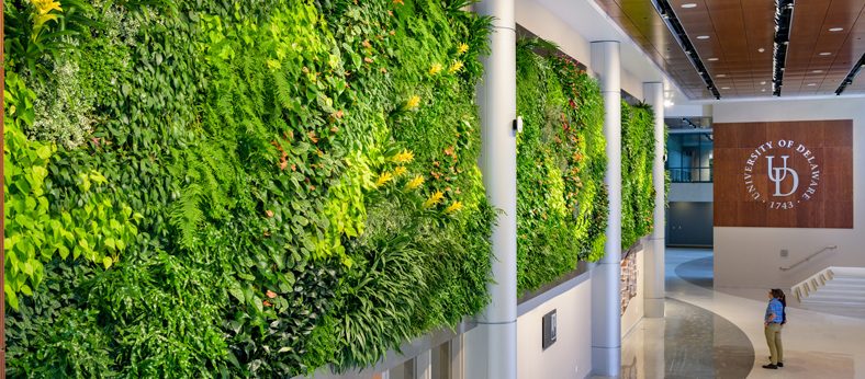 The "Nash M. Childs '76 Living Wall" in the new lobby of the STAR Tower. - (Evan Krape / University of Delaware)