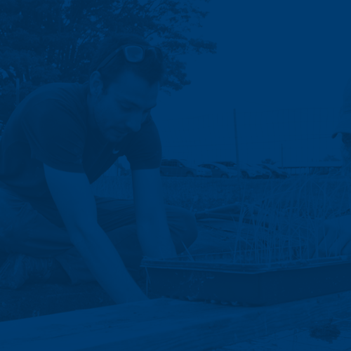 Student filling up a planter with soil