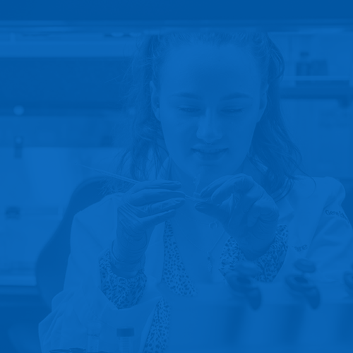A student works with lab equipment