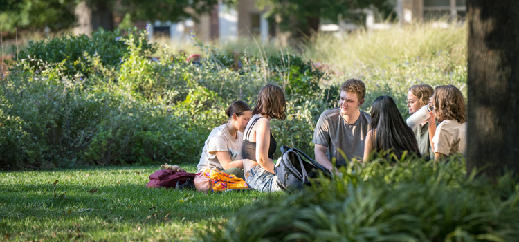 students gather in a small group on The Green in the shade of a tree