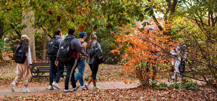 a group of students walks along a path on The Green