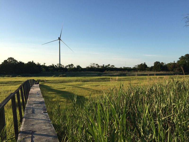 Lewes campus wind turbine