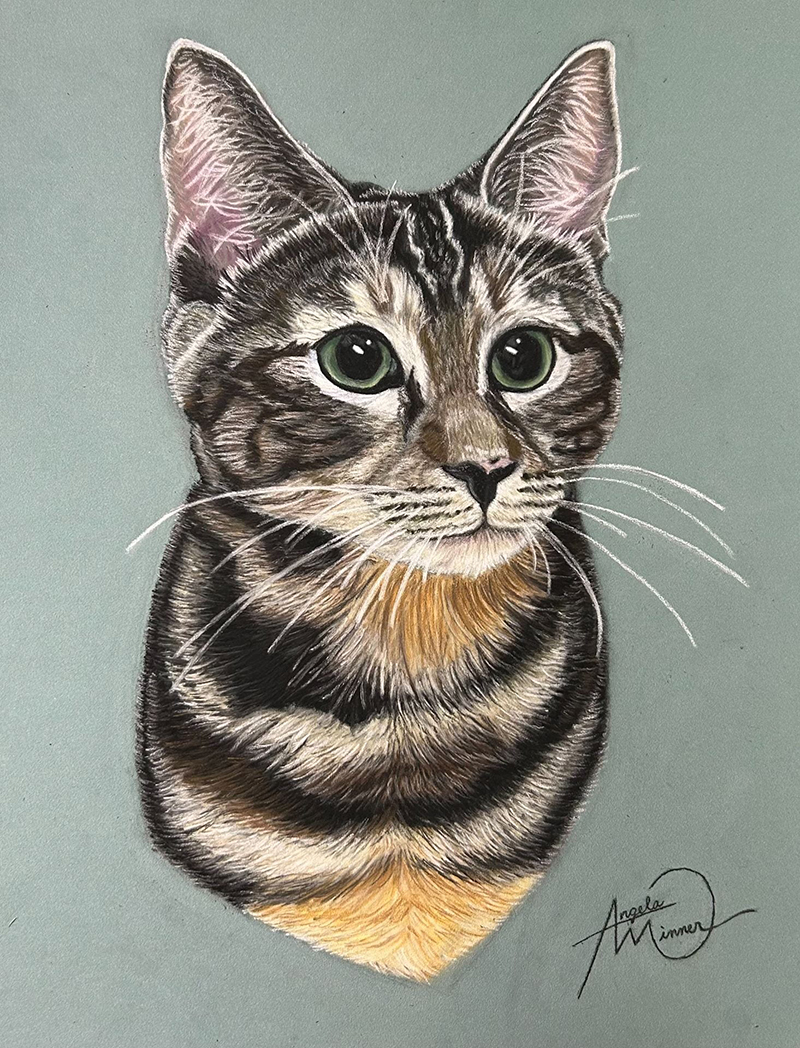 Realism drawing of a cat named Lulu made with pastel pencil on pastelmat