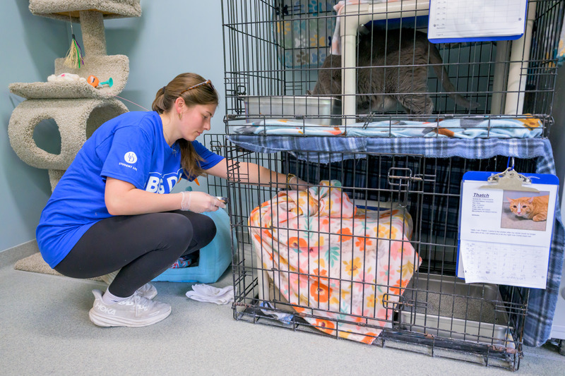 Student cleans kennels at Faithful Friends