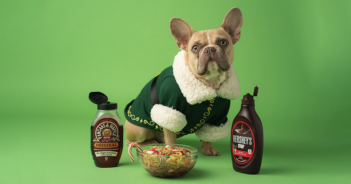 Small dog dressed as Buddy the Elf with bowl of candy and candy canes and a bottle of chocolate syrup