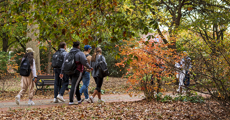 Students walking down a sidewalk surrounded by colorful foliage