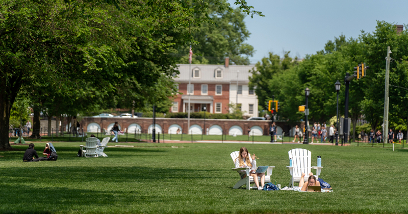 Students sunbathe and study on The Green in warm weather