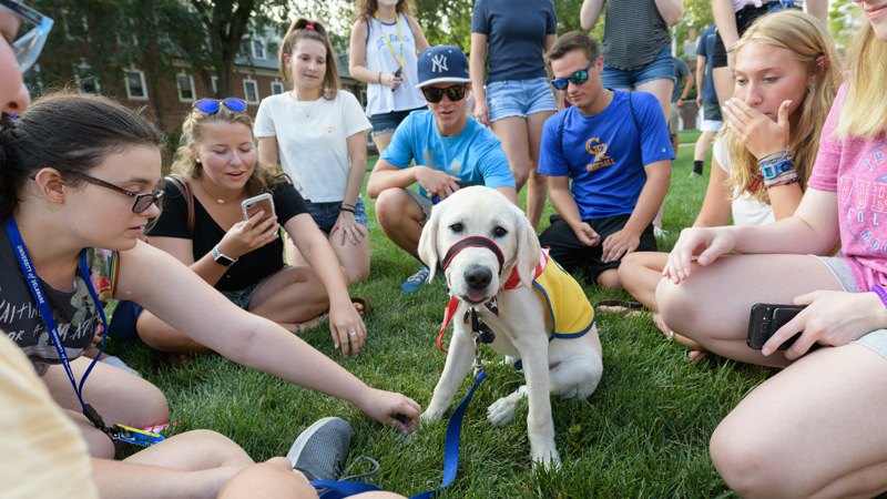 a puppy in the Puppy Raisers of UD (PRoUD) sits with its handler among students socializing with him on UD's The Green