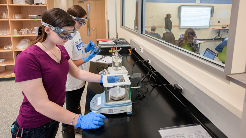cadets in the AROTC plant flags on The Green for Veterans' Day.