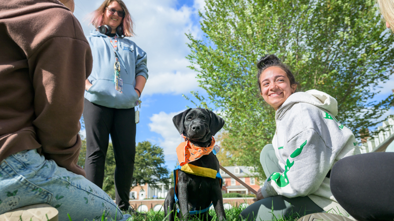 a Puppy Raiser of UD sits with her dog and other students on The Green.