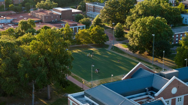 Aerial view of Harrington Turf