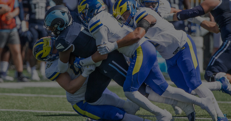 an action shot of a UD football game