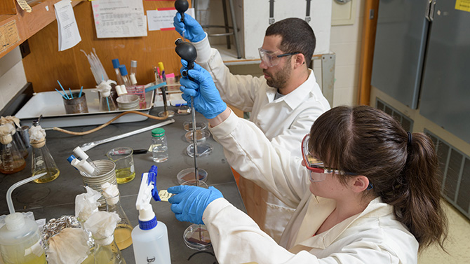 Undergraduate students Caroline Koriakin and Andrew Trinker working on summer research in McKinly Lab to study the antimicrobial properties of a surface coating by exposing coated and uncoated materials to various common pathogens such as Ecoli and MRSA. The hope is that the surface coating can be applied in various commercial, healthcare, and residential environments to inhibit or prevent the growth of harmful microbes. - (Evan Krape / University of Delaware)