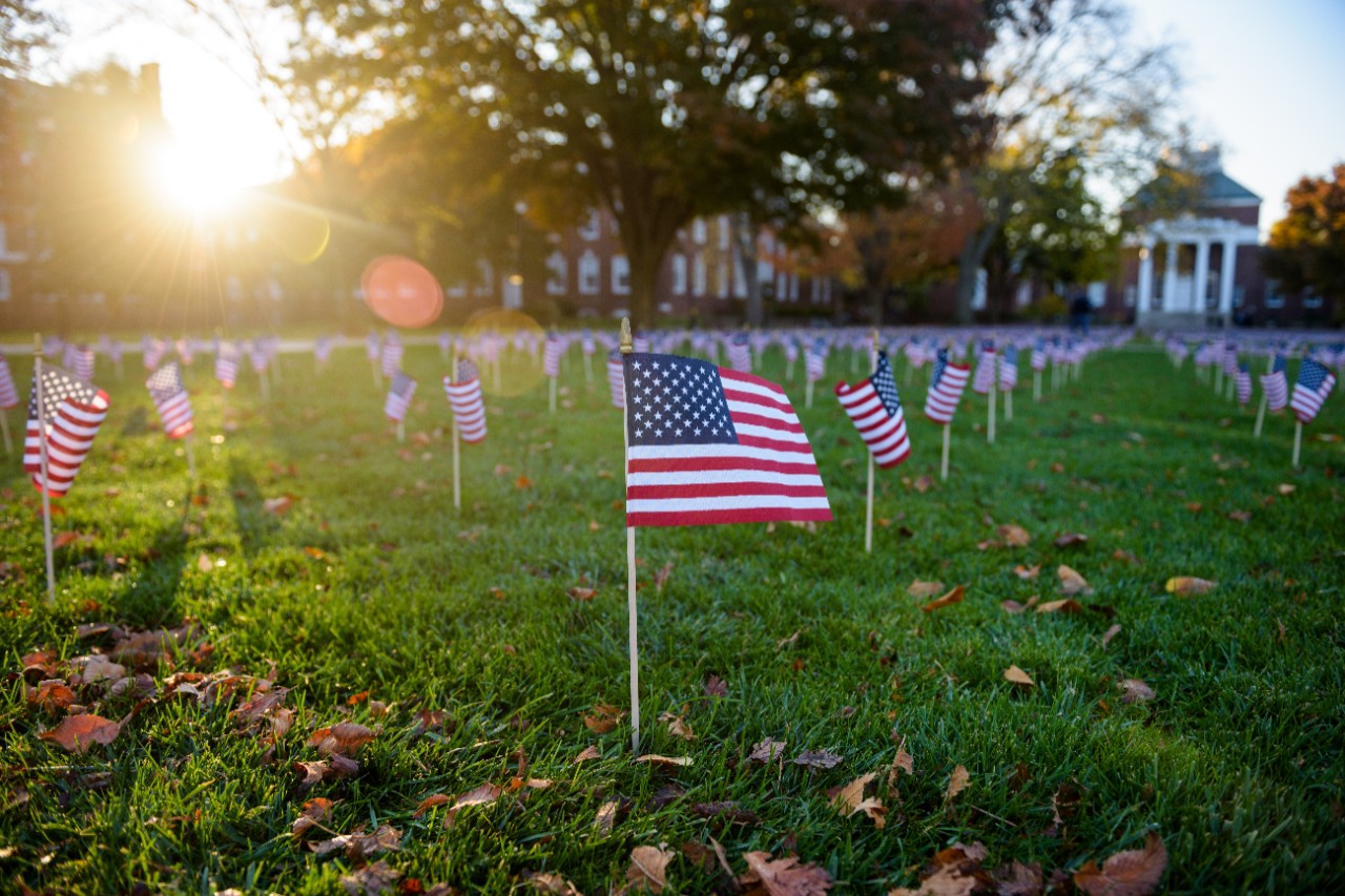 As part of Veterans Day observations, members of Blue Hen Veterans and other volunteers set up American Flags on the north central Green outside Memorial Hall to commemorate US service personnel lost and missing in action. - (Evan Krape / University of Delaware)
