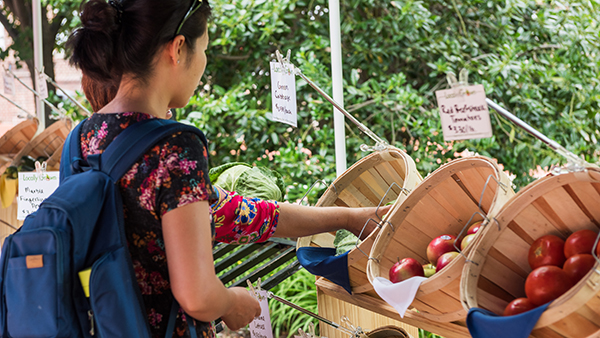 Farmer's Market - 2015
