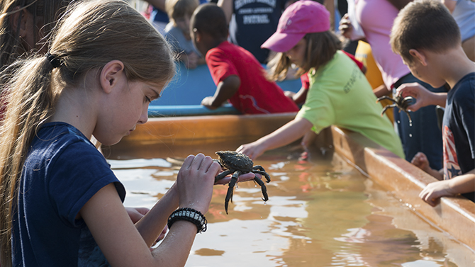 The College of Earth, Ocean, and Environment's 2013 Coast Day held on the Lewes Campus in Lewes, DE. Pictured: Touch Tank near the Marine Operations Building (MOB).