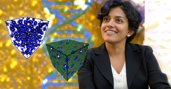 Arthi Jayaraman recently received a grant to build predictive molecular models of soft materials. 
CBE professor wins DOE grant to build predictive molecular models of soft materials
