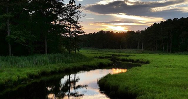 Photo cutline: Instagram user adora_bully_ captured first place in the 2015 Coast day photo contest for her image of a scenic sunset on a lush Delaware marsh.
