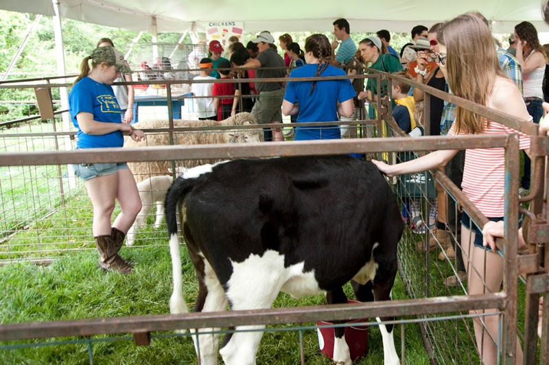 Ag Day—which has a 2018 theme of “Global Explorers”—will also have children’s games and activities, a livestock display with UD farm animals, musical entertainment, hayrides and much more. 