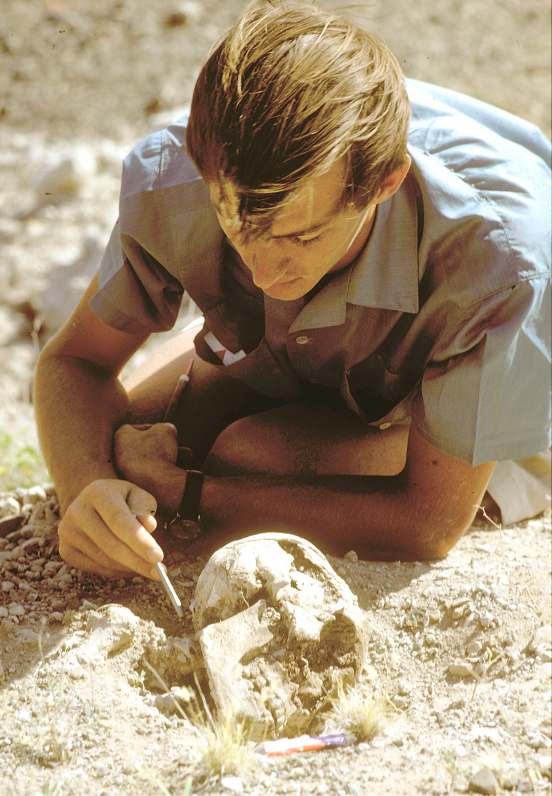 In this 50-year-old photograph, Richard Leakey is examining a skull found at Allia Bay in the Turkana Basin region of Kenya. Photo courtesy of the Turkana Basin Institute.