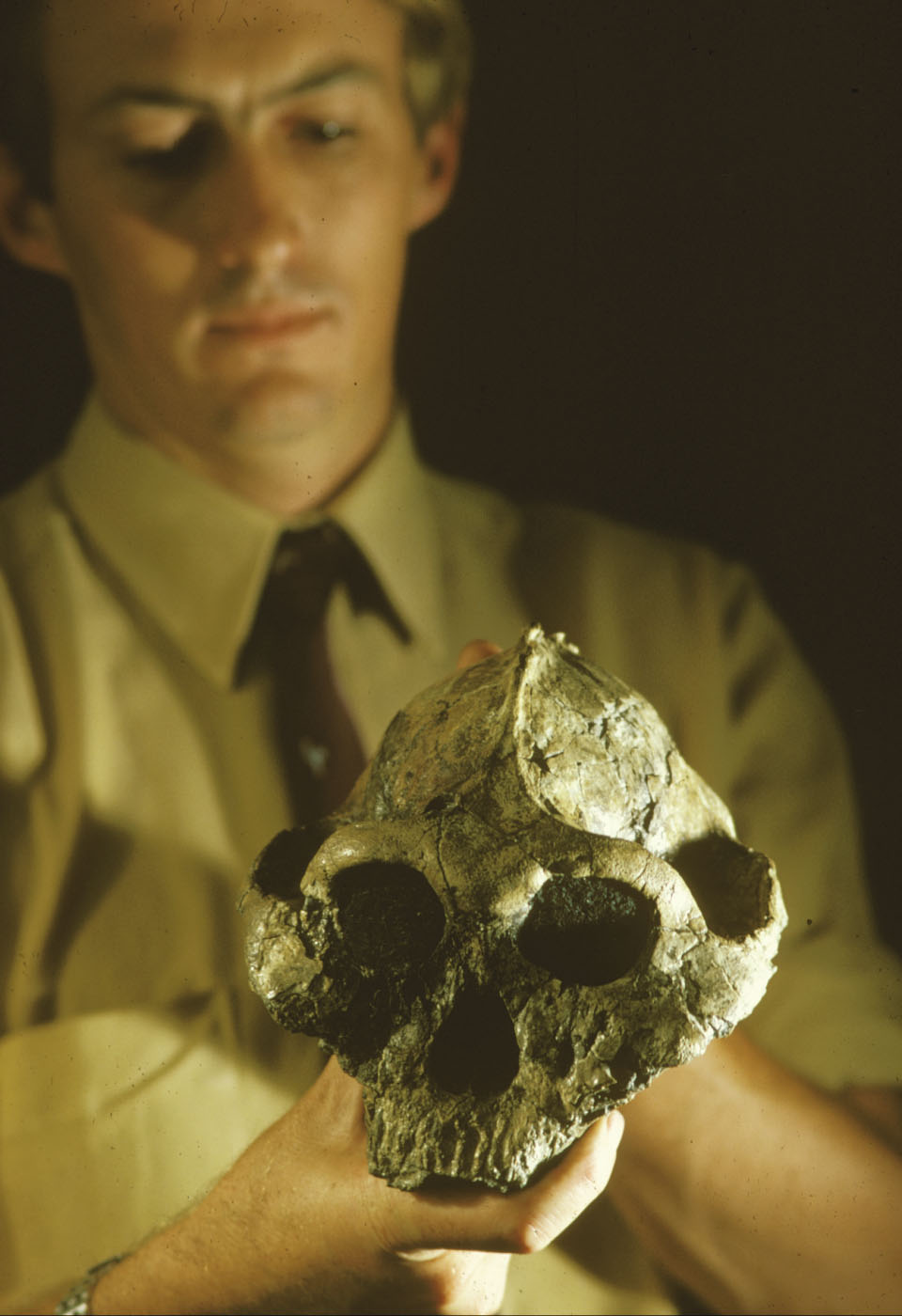 Paleoanthropologist Richard Leakey holds the skull of the hominid Australopithecus robustus, which he found in August 1969 at East Turkana, Kenya. The skull was dated at around 1.6 million years old. Photo courtesy of Turkana Basin Institute.