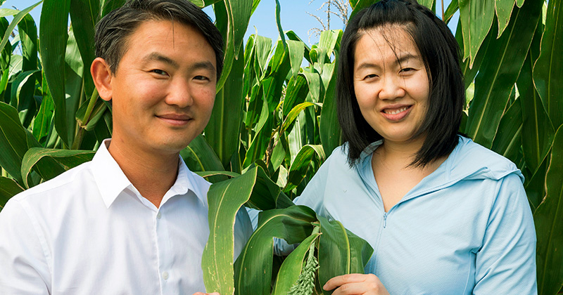 Jeffrey Caplan, UD associate professor of plant and soil sciences, and post-doctoral researcher Kunhuang Haung, are part of a $3.5 million NSF grant to understand how pollen develops in plants, such as corn.