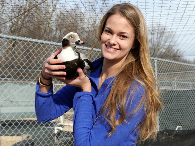 UD graduate student Kate McGrew holding a duck