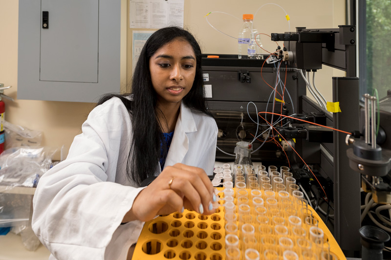 UD student Deeanne Almeida prepares test tubes in a lab at the Fox Chase Cancer Center where researchers are trying to find a treatment for PKU, a rare genetic disorder.