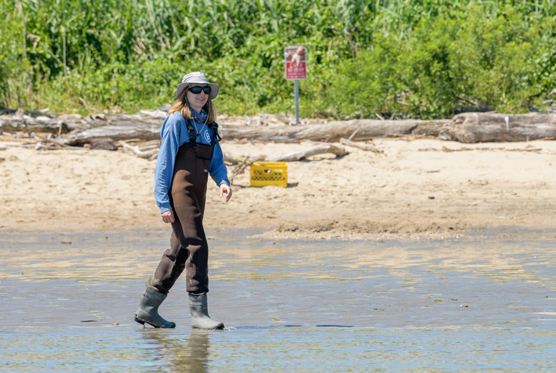 Rachel Schaefer hopes her work at Pea Patch Island in the Delaware River will lead to the implementation of more natural methods to protect its shores, including planting marsh grass. 