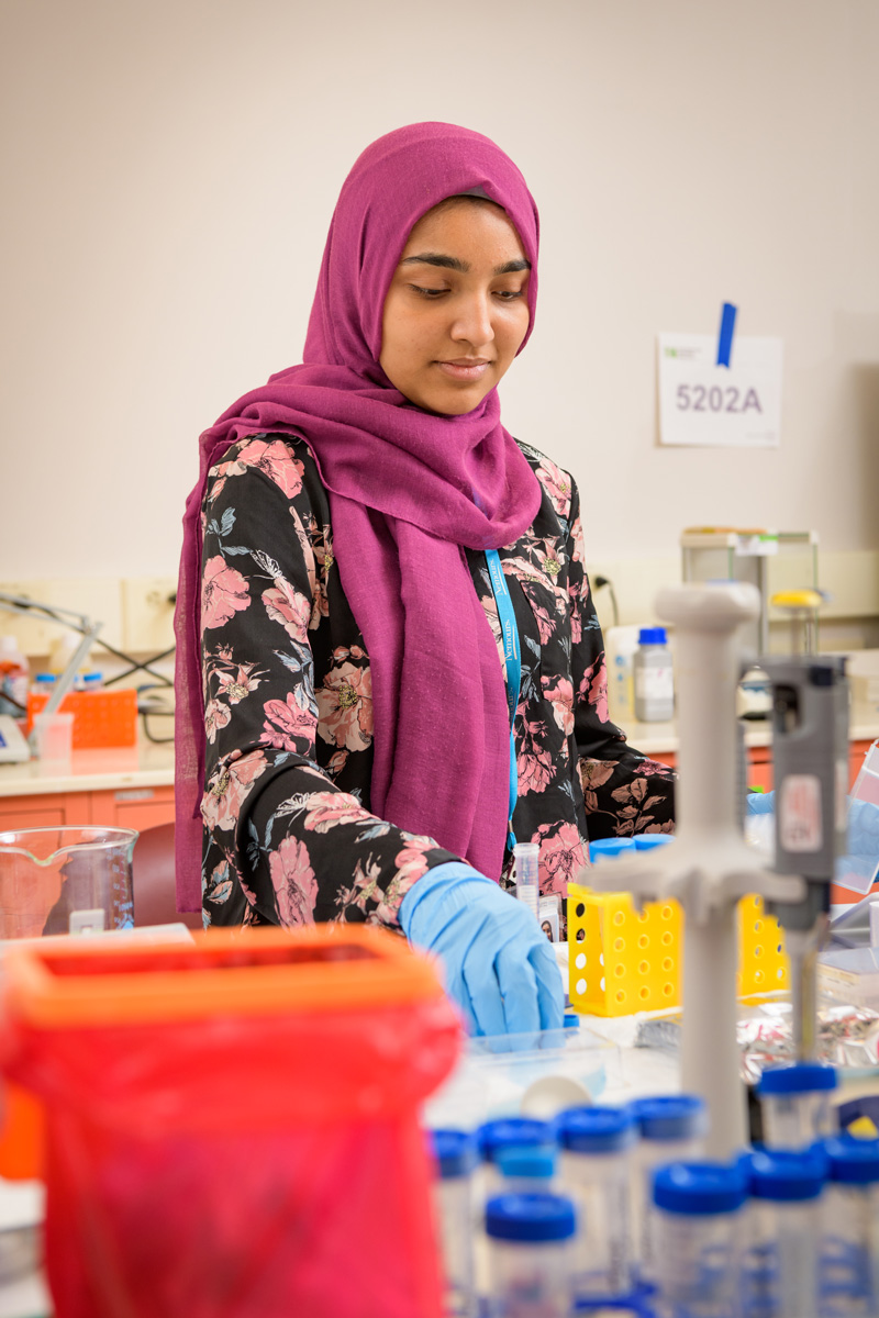 Hira Peracha is an undergraduate (class of 2018) who has been helping to conduct research on osteochondrodysplasia (skeletal dysplasia) with the Nemours/Alfred I. duPont Hospital for Children in the lab of Dr. Shunji Tomatsu. Osteochondrodysplasia is a rare (1 in 5,000) family of developmental disorders of the bone and cartilage which can cause a wide range of health issues in patients, including limited mobility and even mortality. - (Evan Krape / University of Delaware)