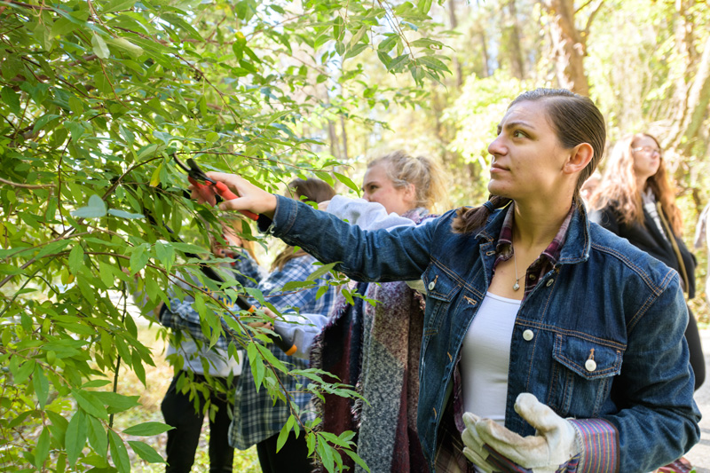 McKay Jenkins's ENGL230 "Introduction to Environmental Literature" class heads outdoors to White Clay Creek State Park to participate in invasive plant eradication. - (Evan Krape / University of Delaware)