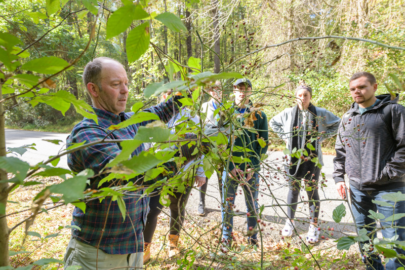 McKay Jenkins's ENGL230 "Introduction to Environmental Literature" class heads outdoors to White Clay Creek State Park to participate in invasive plant eradication. - (Evan Krape / University of Delaware)