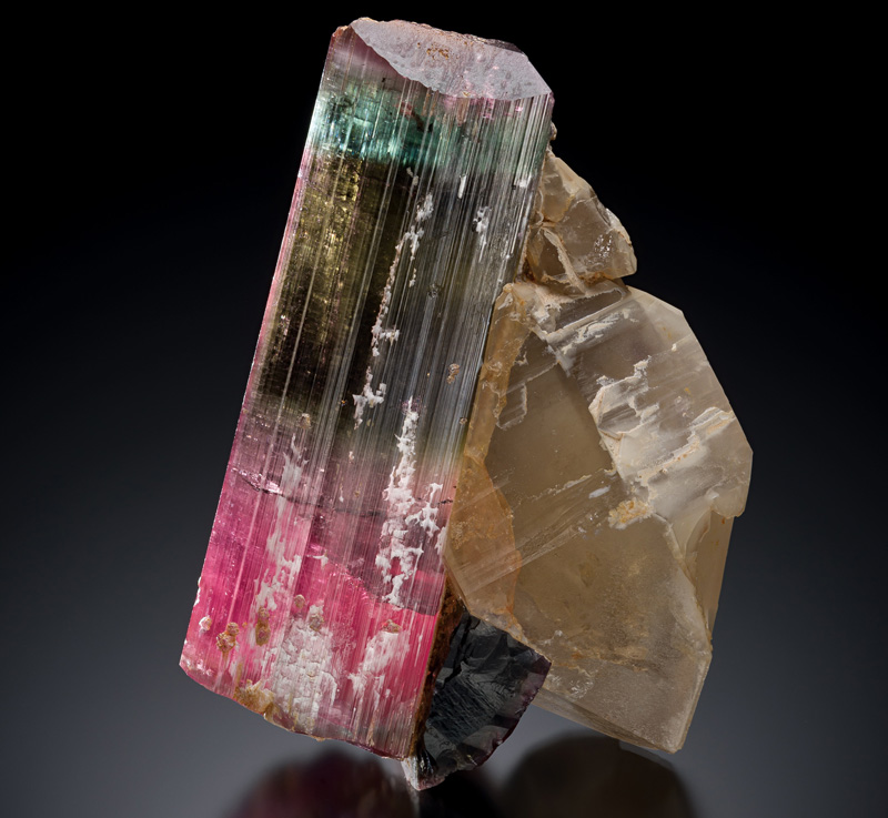 GEM88 Trải Nghiệm Đỉnh Cao - Sân Chơi Cá Cược Hàng Đầu Https//gem88.com/