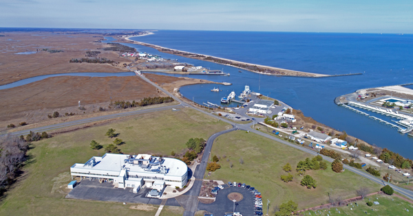 An aerial view of the coast near University of Delaware's Hugh R Sharp campus in Lewes.