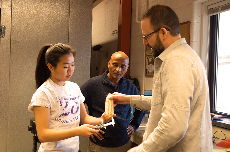 High school student and intern Hannah Jo (left), UD plant scientist Teclemariam Weldekidan (center) and Professor Randy Wisser measure an ear of corn (maize).