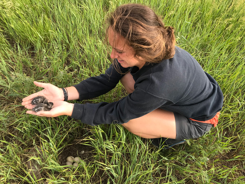 UD graduate Samantha Fino said she loved the wildlife conservation and ecology program and her experiences studying abroad.